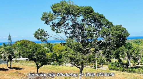 photos for SOSUA: LOT WITH 3,374 M² (0.834 acre) AND FANTASTIC PANORAMIC SEA VIEWS